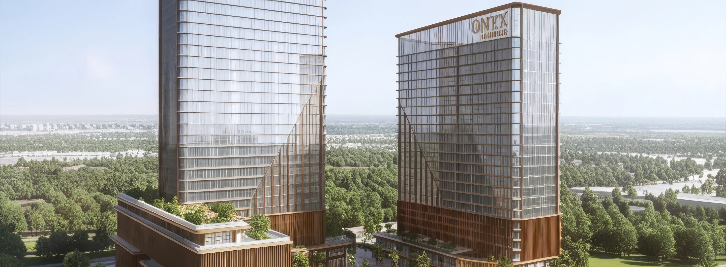ONYX project video thumbnail